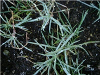 8b2f6eea-Picture 517.jpg